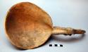 Ladle of horn