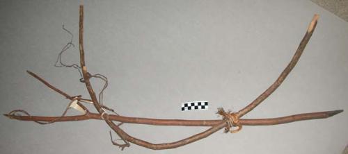 Bird snare, forked stick tied to bow-like piece of wood, ndeti