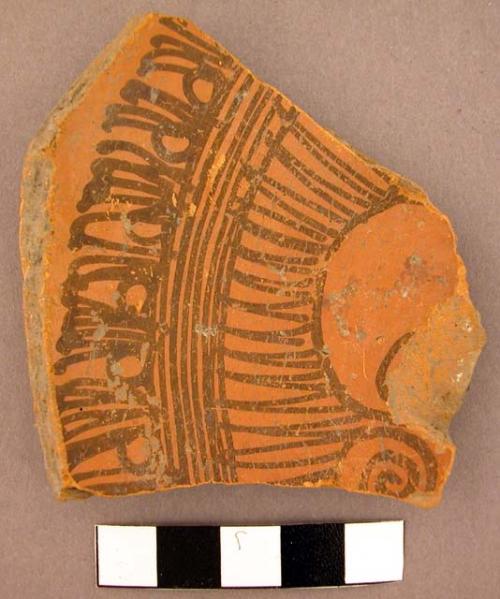 1 of 5 Aztec ware base sherds