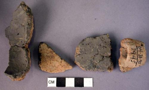 51 potsherds