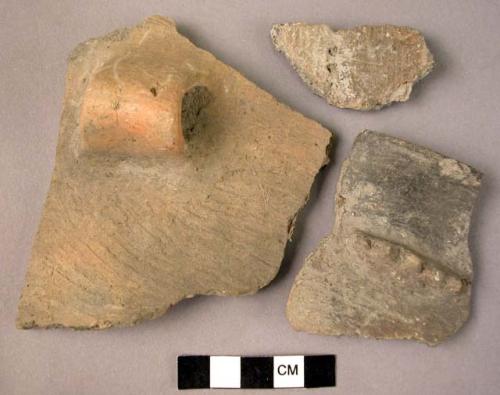 Fragments of pottery storage jars