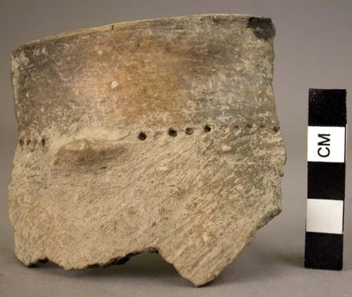 Fragments of pottery storage jars