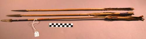 Arrows. Wood shaft, iron point, feathers, and sinew.