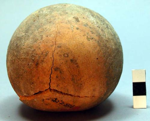 Fruit of ? used as grinding stone