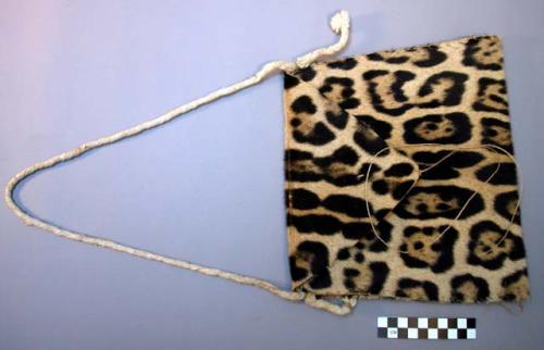 Jaguar skin bag