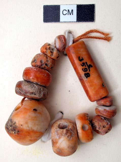 Shell beads