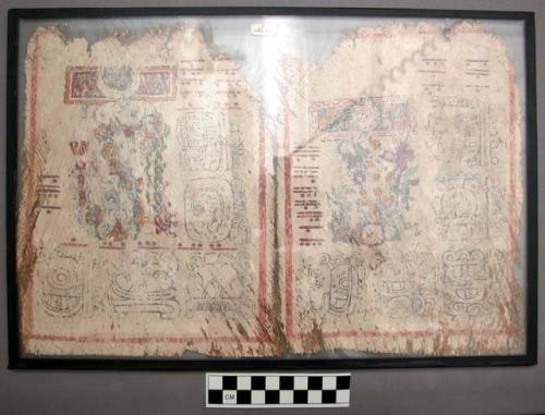 Two leaves of a fake Maya codex