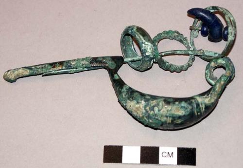 Fibula with rings attached