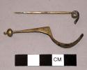 Fibula