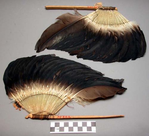 Feather hair ornaments